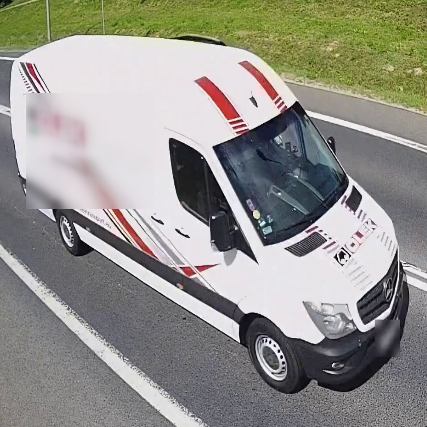 Jakie kategorie rozpoznaje AI?