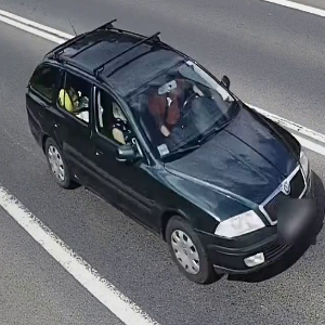 Jakie kategorie rozpoznaje AI?